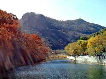 新澳天天开奖资料大全旅游团，早餐第一步价格